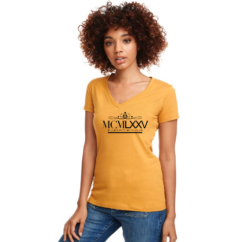 Ladies V-Neck Shirt